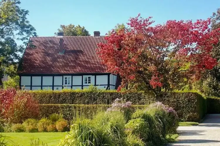 Sexkontakt Gütersloh